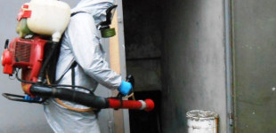 Дератизация в многоэтажном доме: что делать, если завелись крысы в подвале