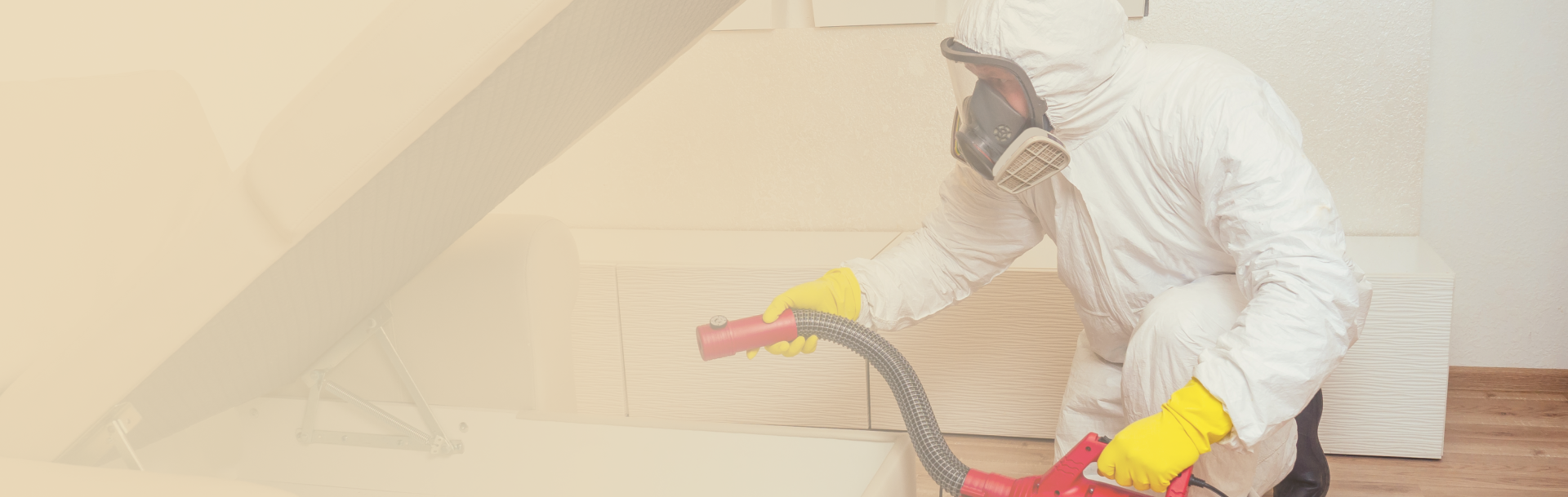 Уничтожение крыс в СПб – обработка помещений с гарантией, цены